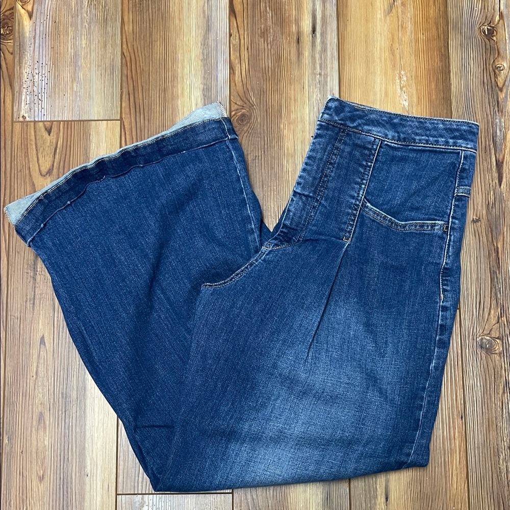 Pilcro Med Wash Pleated Wide Leg Jeans
